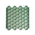 Plastic grids grass protection mat manufacture grass lawn grids for driveway, golf lane